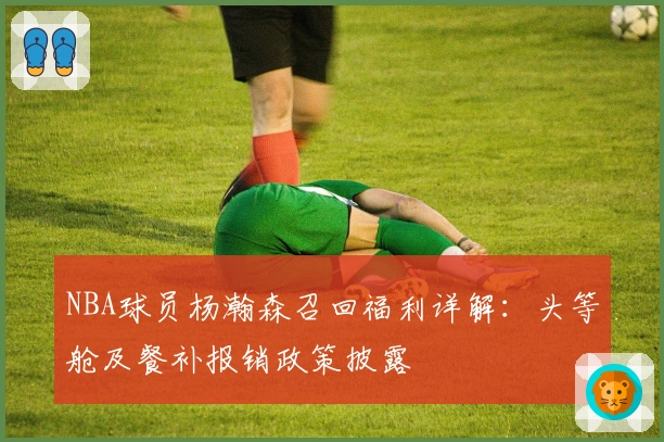NBA球员杨瀚森召回福利详解：头等舱及餐补报销政策披露