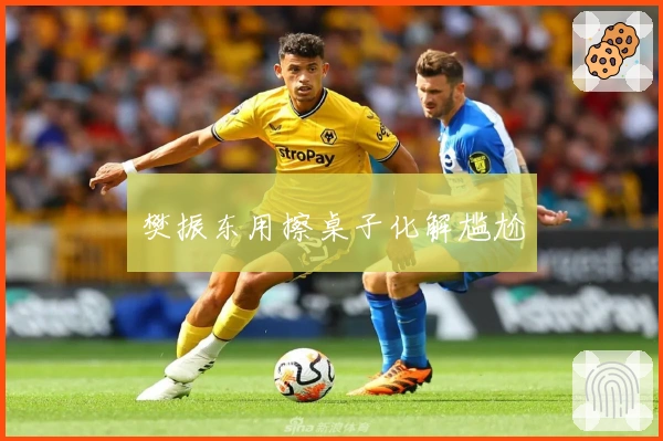 樊振东用擦桌子化解尴尬